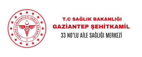 Şehitkamil 33 No'lu